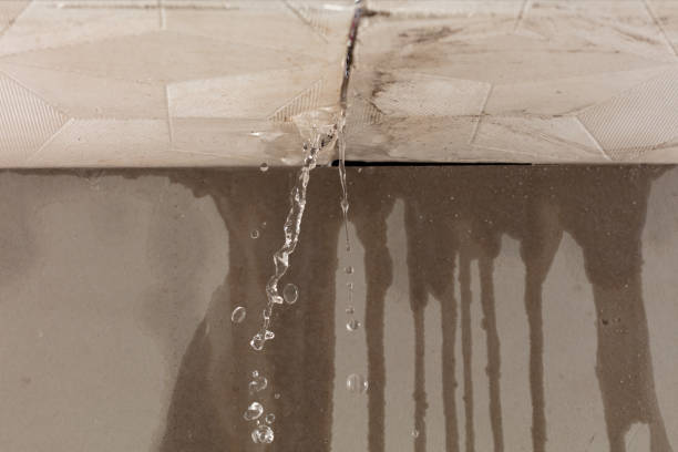 Professional Structural Drying technician working in Villa Park, CA